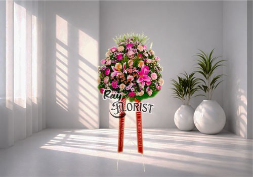 IMG-PRODUCT